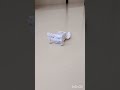 Macroburst destroying omnidroid v1
