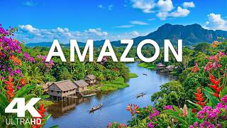 Amazon In Spring 4K 🌸Amazon Rainforest, Misty Rivers & Wild Nature