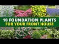 Top 10 easybreezy foundation plants for your front house 