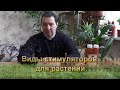 Виды стимуляторов для растений