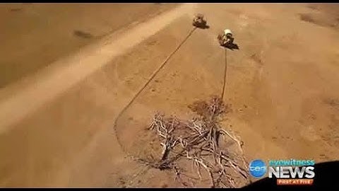 UnDo CanDo: Palaszczuk Govt has the numbers to repeal Newman