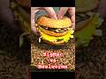 BigMac vs Mealworms #mealworms #maggots #mcdonalds #burger