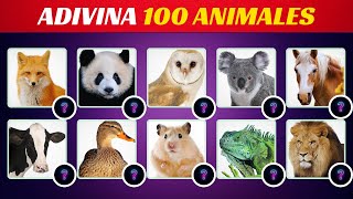 Adivina 100 ANIMALES por la Foto | ¿Cuánto Sabes del Reino Animal? | Test de Animales ⏱
