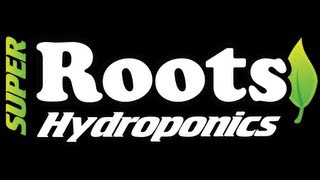 Super Roots Hydroponics Fresno