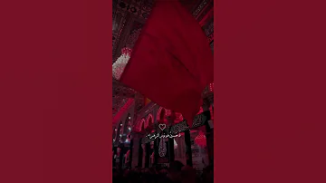 كلمات فبدأت رواياتي الاولى بالحب فحسين هو نور الزهراء 