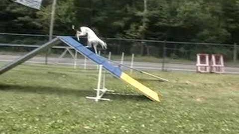 Boing! Slow motion A Frame