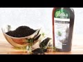 Vatika black seed range for complete care