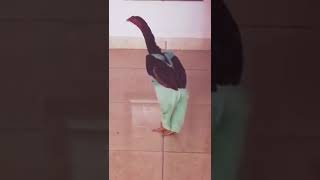 Ketat sangat seluar ni