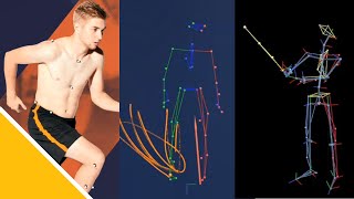 Vicon Motion Capture: Hardware, Software, and Modeling