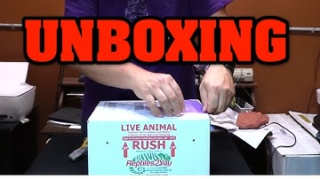 Epic unboxing!  You won