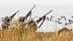 Caccia alle anatre-oche nel delta del Danubio 2014 - Lugari Video Trailers - Hunt caza chasse