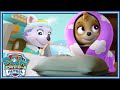 スカイをすくえ!| パウ・パトロール公式