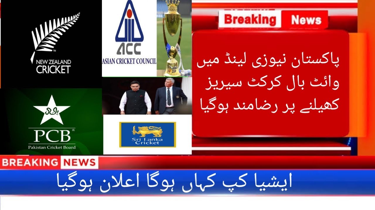 Pak Vs Nz White Ball Series Update Asia Cup 2023 Future Asia Cup pak-vs-nz-white-ball-series-update-asia-cup-2023-future-asia-cup