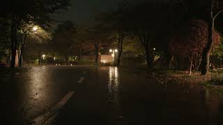 Cozy Sound of Rain | Relax | Calming | Insomnia, Stress Relief screenshot 5