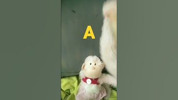 Ngày 20 tháng 08 năm 2023