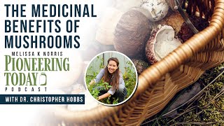 EP: 422 The Medicinal Benefits of Mushrooms with Dr. Christopher Hobbs