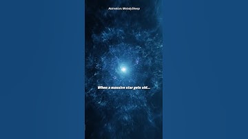 We just watched a Star Explode!