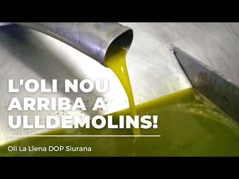 L'oli nou arriba
