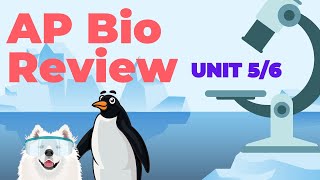 AP Biology Review: Unit 5 & 6