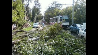 Томск последствия урагана 2017