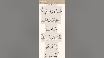 040 سورة غافر 46/66 مفهوما