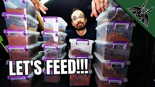 Feeding Video AFTER A LONG TIME!