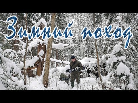 видео: Зимний поход. Ночевка в лесу без палатки. Нодья. Мясо с картошкой в фольге.