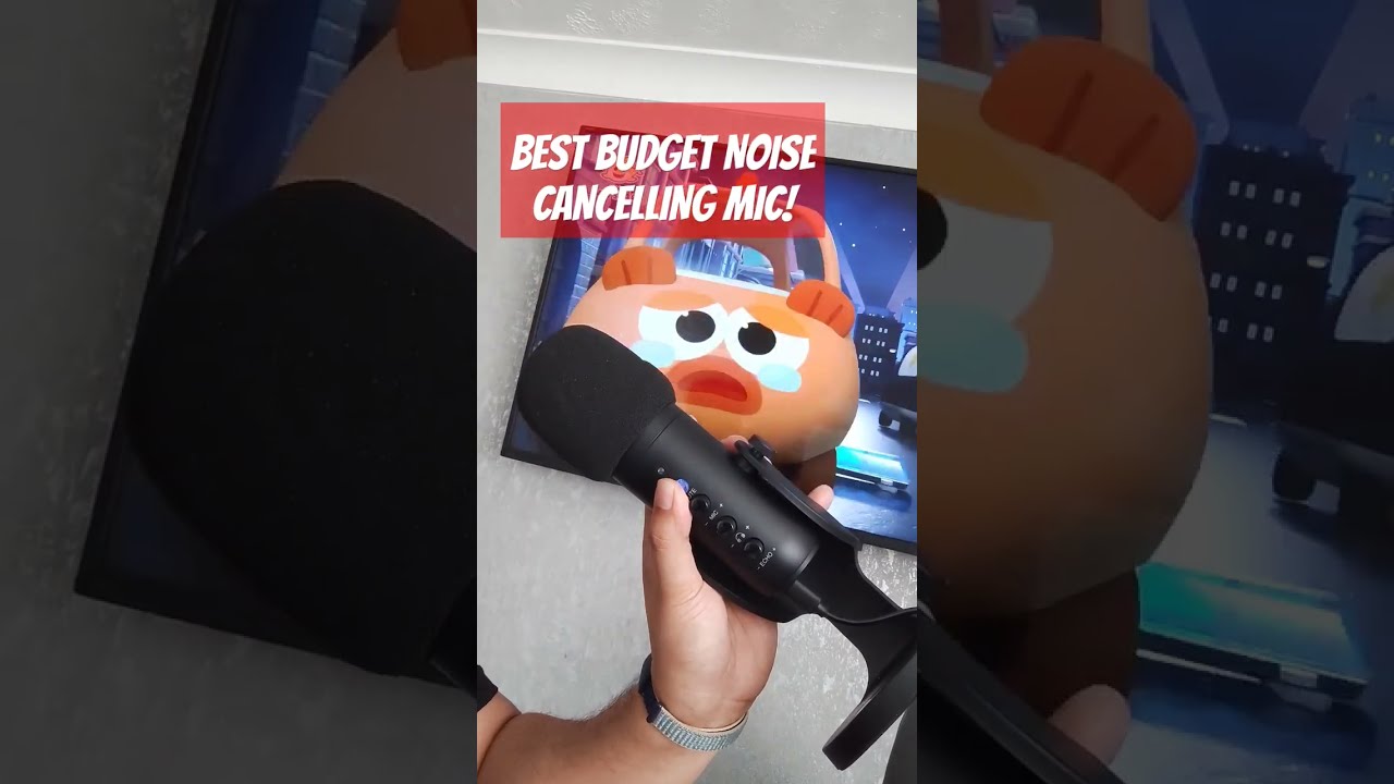 The BEST Budget Noise Cancelling Mic 