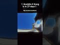 27 days left!! #godzillaxkong #fyp #cat #funny