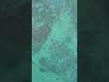Waikiki Aerial Spiral Descent to Shoreline