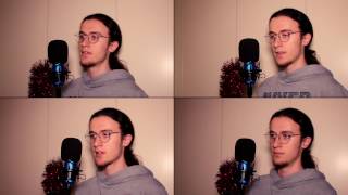 The Snowman - Walking In The Air (A CAPPELLA COVER)