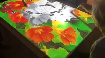 OMi Award Winning Interactive Projection System