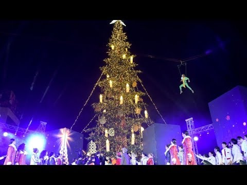 კალაძის მილიონიანი ნაძვის ხე თბილისის ცენტრში - რას ამბობენ მოქალაქეები