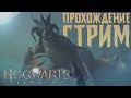 УЧИМ МАГИЮ В HOGWARTS LEGACY!! ЗАПРЕЩЕННЫЕ ЗАКЛИНАНИЯ В ХОГВАРТС ЛЕГАСИ!!!