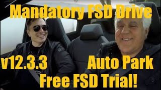 Testimony FSD DEMO for Free FSD Trial v12.3.3 autopilot First time #ai #4k #update