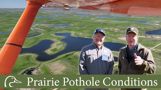 Habitat Update from the U.S. Prairies