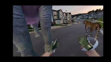 Pico4 mixed reality outdoor hand tracking: Zoo Home Demo