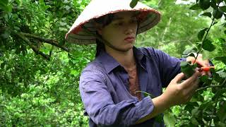 Tu Yen was touched by the close relationship of the young CEO's family.