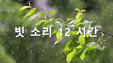 빗소리 12시간 : 잠 잘 오는 빗소리 - 부드러운 빗 소리 5분후 검정화면으로