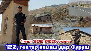 120 гектар, Замин барои Фермаи Гов, Мург, Мохи, Боги Писта, Бодом, мешавад, 21 сентября 2023 г.