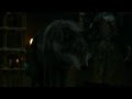 Game of thrones season 2 direwolf robb stark vs jaime lannister