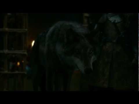 Video: Ar Robb Stark prisikels?