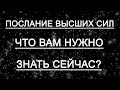 ПОСЛАНИЕ ВЫСШИХ СИЛ. ЧТО ВАМ НУЖНО ЗНАТЬ СЕЙЧАС? Таро онлайн