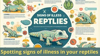 Spotting signs of illness in your reptiles by LES ANIMAUX DE COMPAGNIE  16 views 1 month ago 10 minutes, 4 seconds