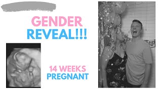 GENDER REVEAL!!! 14 WEEKS PREGNANT - ANNOUNCEMENT - BOY OR GIRL???