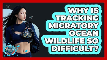 Why Is Tracking Migratory Ocean Wildlife So Difficult? - The Marine Life Explorer