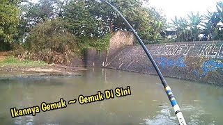 Mancing Ikan Tawes Sirip Merah & Ikan Kepek Di Dam Sungai Ngipang Solo