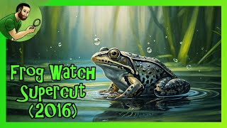Frog Watch 2016 Supercut - Where it all began!
