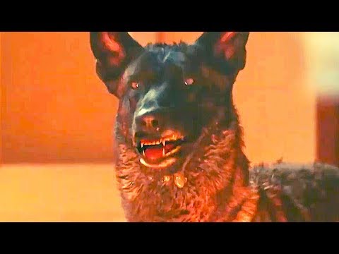 prey-official-trailer-(2020)-killer-dog-horror