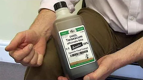 Herbs to help dogs: dandelion